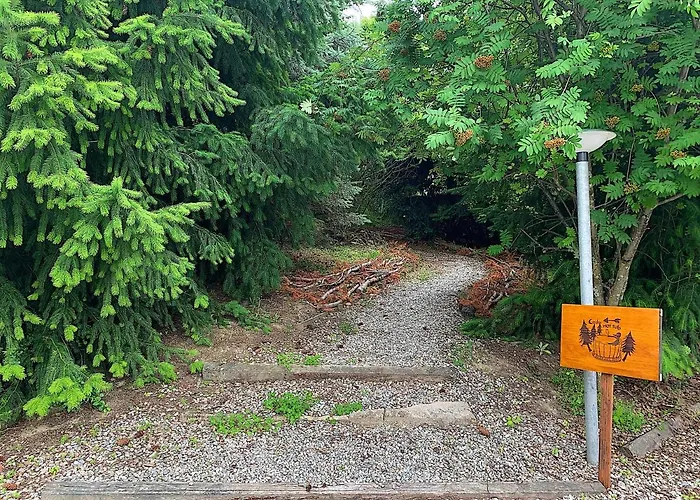 汽车旅馆 阿契威汽车旅馆小屋 瓦纳卡