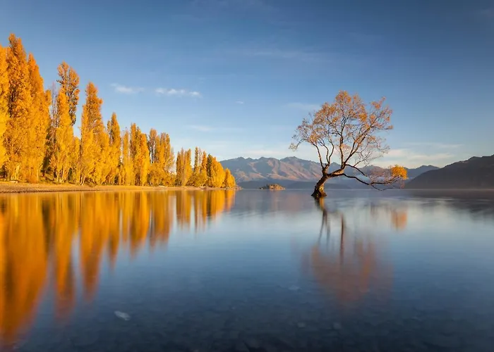 汽车旅馆 阿契威汽车旅馆小屋